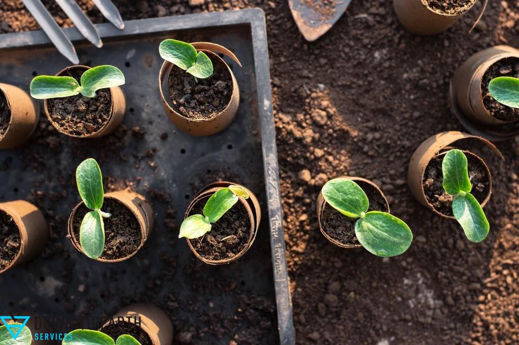 planting natives soil prep